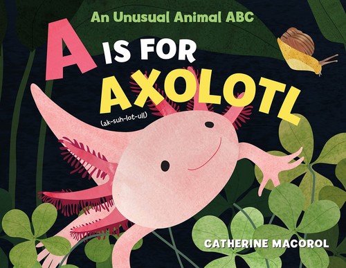 Unusual Animal ABC by Catherine Macorol, Catherine Macorol cover