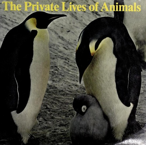 The private lives of animals by Roger A. Caras cover