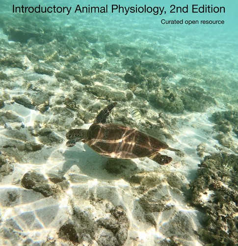 Introductory Animal Physiology 2nd Edition by Curated Resource cover