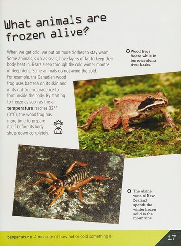 Animal mysteries revealed by James Bow cover