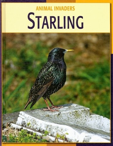 Starling by Susan Heinrichs Gray cover