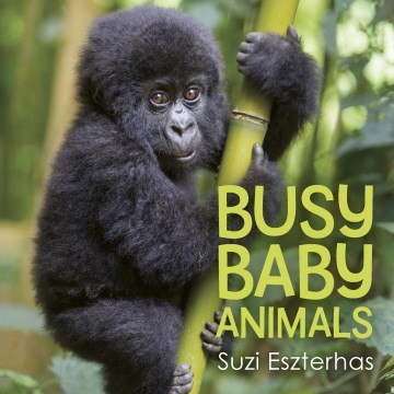 Busy Baby Animals by Suzi Eszterhas cover