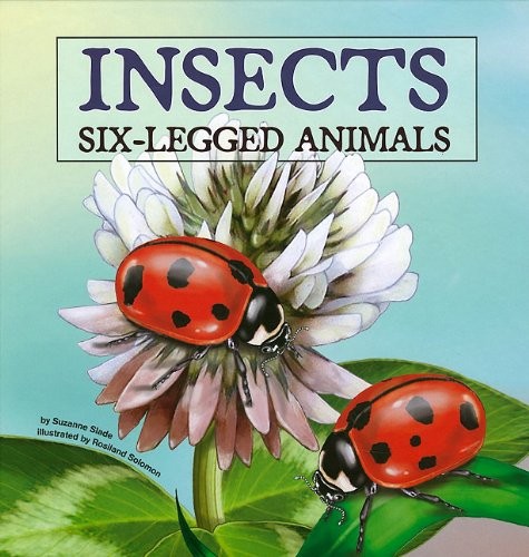 Insects