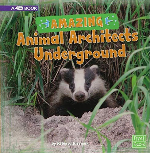 Amazing Animal Architects Underground by Rebecca Rissman cover