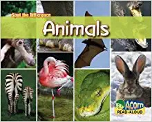 Comparing Animals