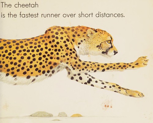 Animal Runners by Kenneth Lilly cover