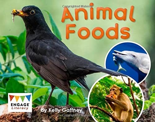 Animal Foods by Kelly Gaffney cover