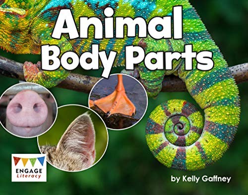Animal Body Parts by Kelly Gaffney cover