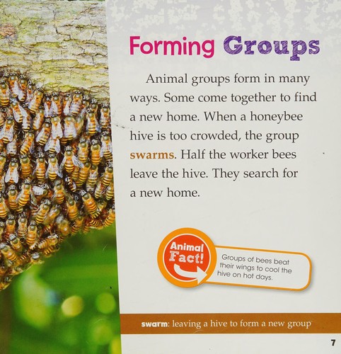 Animals that live in groups