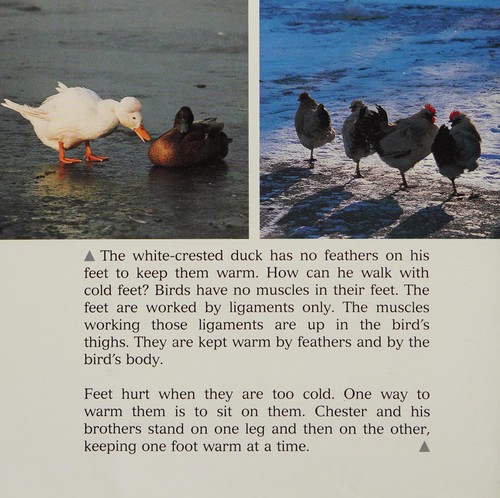 Animals keeping warm by Burton, Jane. cover