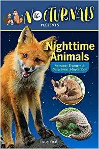 The Nocturnals Presents Fun Nighttime Animals by Tracey Hecht, Josie Yee cover