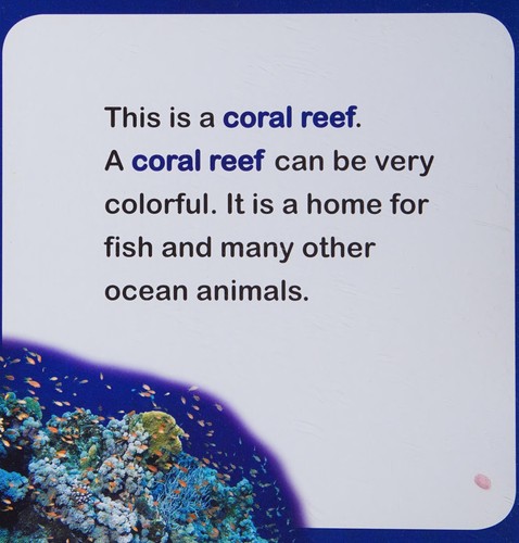 First look at ocean animals