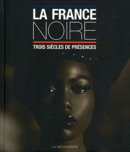 La France noire by Pascal Blanchard, Sylvie Chalaye cover