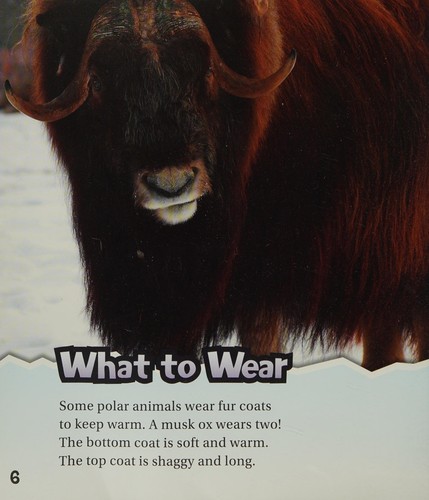 Polar animal adaptations by Lisa J. Amstutz cover