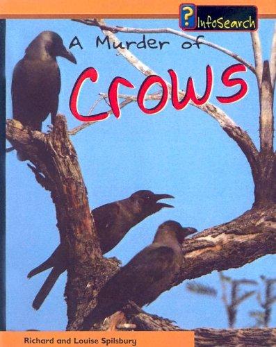 Murder of Crows by Louise Spilsbury, Richard Spilsbury cover