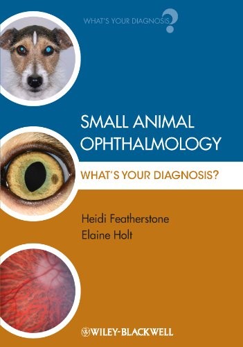 Small animal ophthalmology
