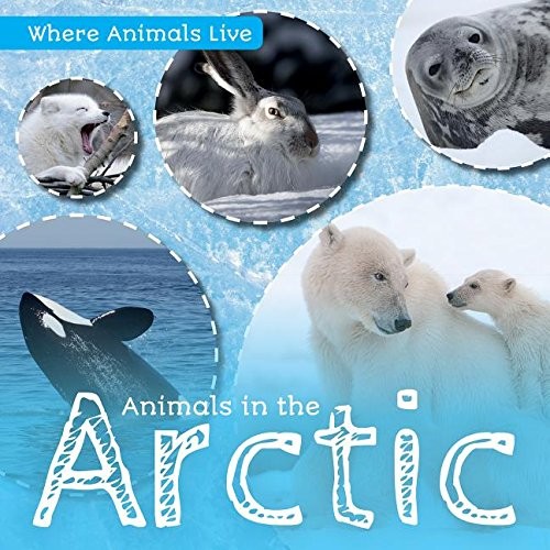 Animals in the Arctic by John Wood cover