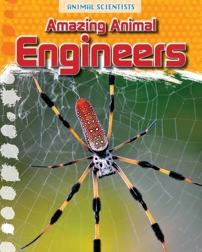 Amazing Animal Engineers by Leon Gray cover