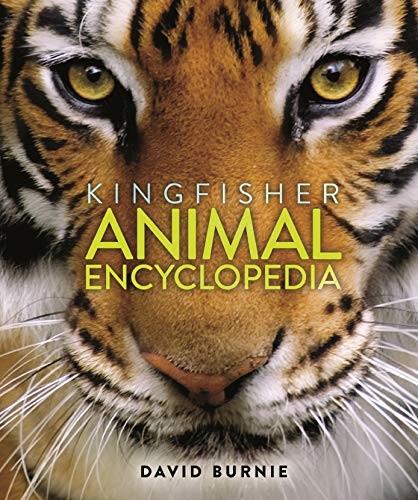 Kingfisher Animal Encyclopedia by David Burnie cover