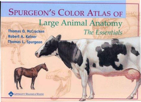 Spurgeon's color atlas of large animal anatomy
