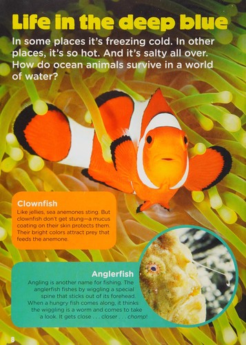 Ocean Animals (Animal Planet Animal Bites)