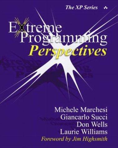 EXtreme programming perspectives