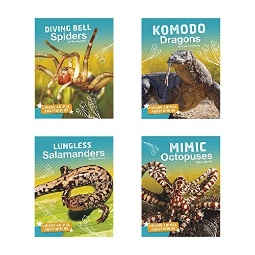 Unique Animal Adaptations by Claire Vanden Branden, Meg Gaertner, Emily Hudd, Maddie Spalding, Aubrey Zalewski cover
