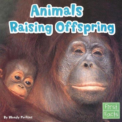 Animals Raising Offspring (Animal Behavior)
