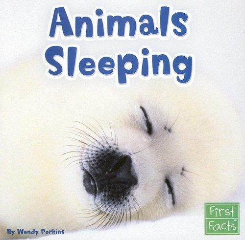 Animals Sleeping by Wendy Perkins cover