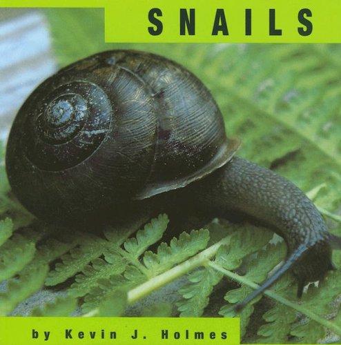 Snails (Animals) by Kevin J. Holmes cover