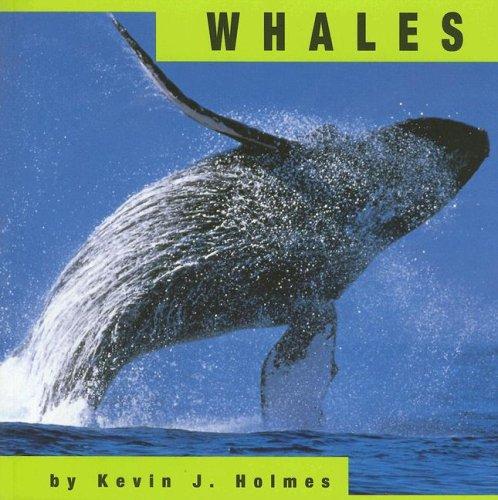 Whales (Animals)