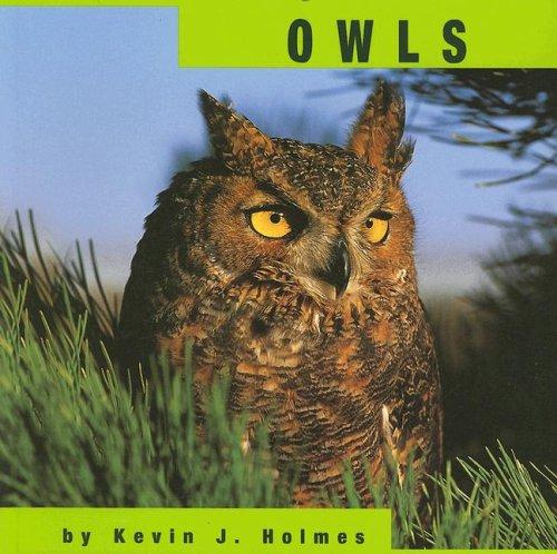 Owls (Animals) by Kevin J. Holmes cover