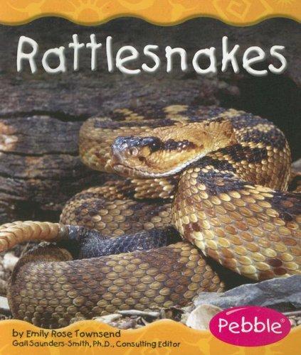 Rattlesnakes (Desert Animals)