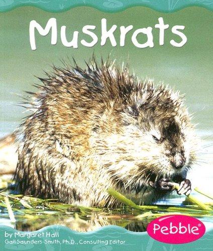 Muskrats (Wetland Animals)