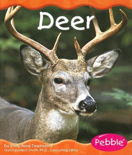 Deer (Woodland Animals) by Emily Rose Townsend cover
