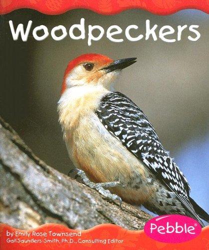Woodpeckers (Woodland Animals) by Emily Rose Townsend cover
