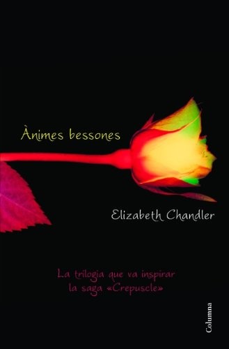 Ànimes bessones