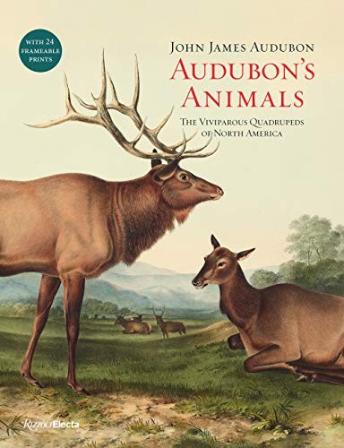 Audubon's Animals by John James Audubon, Kristofer M. Helgen cover