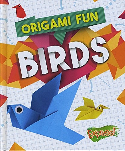 Origami Fun by Robyn Hardyman cover