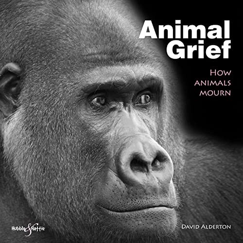 Animal Grief by David Alderton cover