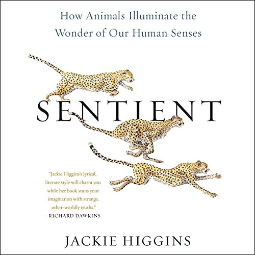 Sentient by Jackie Higgins cover
