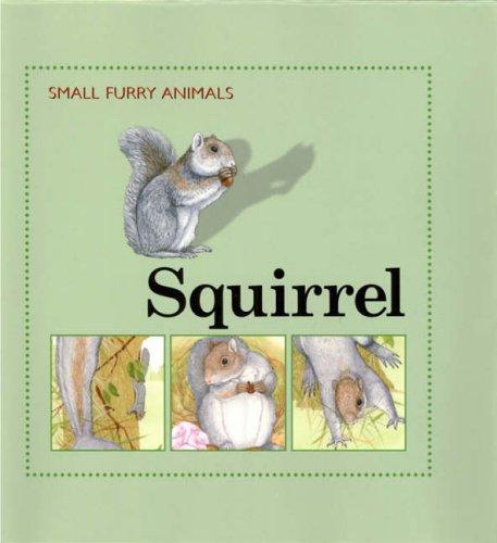 Squirrel (Small Furry Animals) by Ting Morris cover