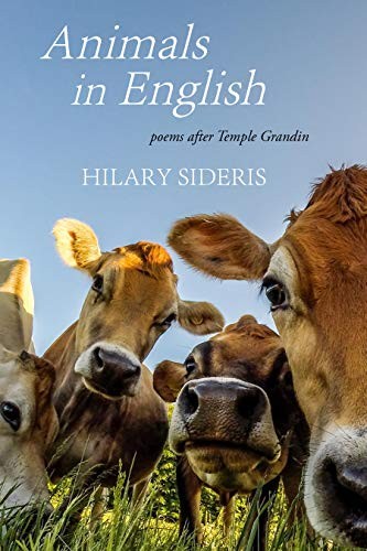 Animals in english by Hilary Sideris cover