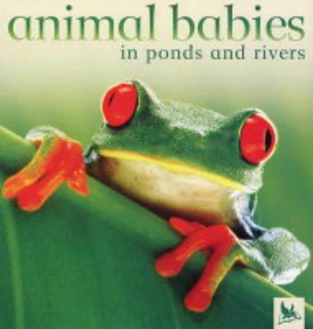 Animal babies in ponds and rivers by Jennifer Schofield cover