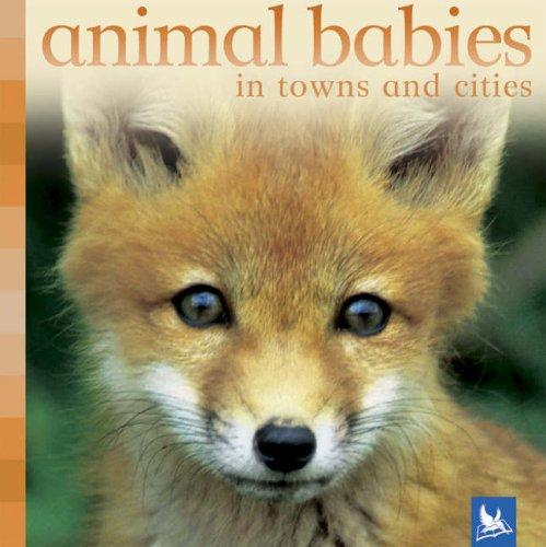 Animal babies in towns and cities by  cover