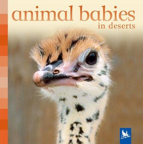 Animal babies in deserts by Sue Nicholson cover
