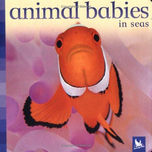 Animal babies in seas by Sue Nicholson cover