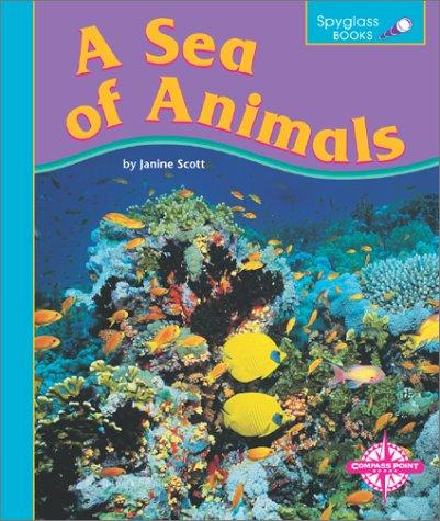A sea of animals by Janine Scott, Joan Stewart cover