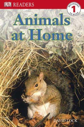Animals at Home by David Lock cover