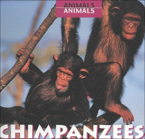 Chimpanzees (Animals, Animals)